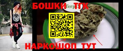 индика Можайск