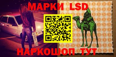 индика Можайск