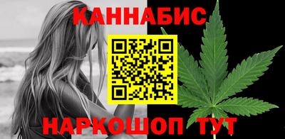 индика Можайск