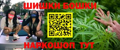стафф Можга