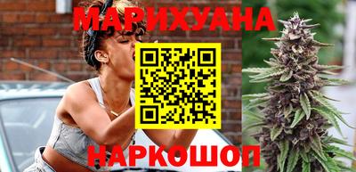 индика Можайск