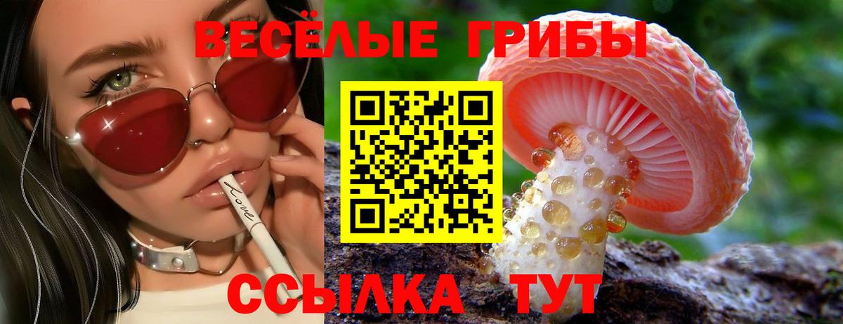 наркота  Вход с VPN  Всеволожск  Галлюциногенные грибы MAGIC MUSHROOMS 